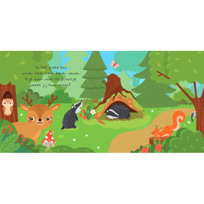 Lantaarn Boek + 20 memory kaarten - Kun je mij vinden? - In het bos