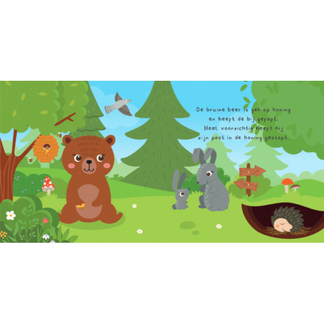 Lantaarn Boek + 20 memory kaarten - Kun je mij vinden? - In het bos