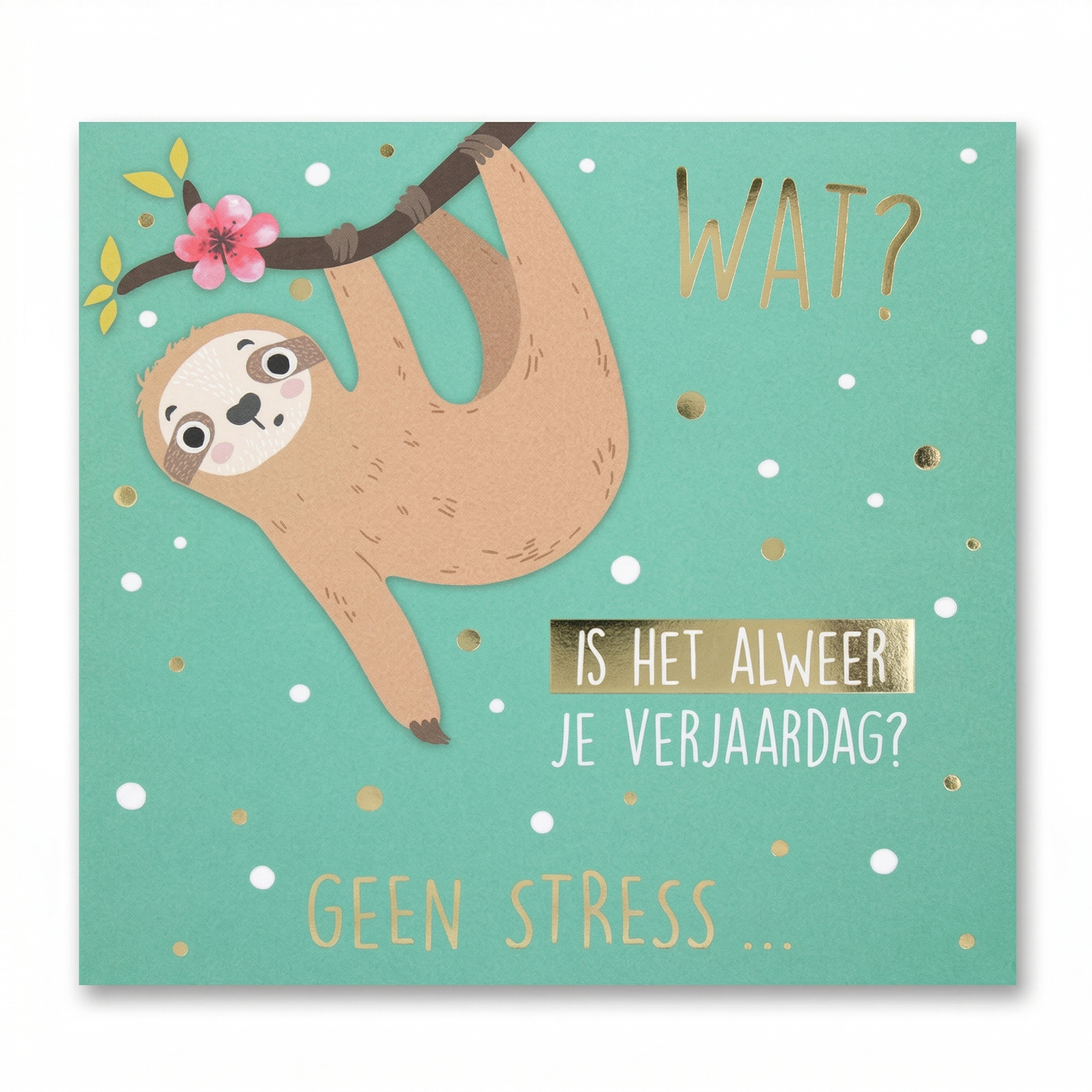 Kaart - Pop-up, licht & muziek - Is het alweer je verjaardag? Geen stress... - 023A.