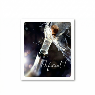 Paperclip Kaart - Photo factory - Proficiat! - VVE.6013