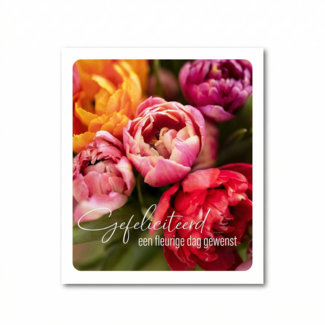 PaperClip Kaart - Gefeliciteerd, een fleurige dag gewenst - Photo factory - VVE.6025
