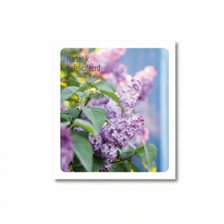 Paperclip Kaart - Photo factory - Hartelijk gefeliciteerd - nr.27