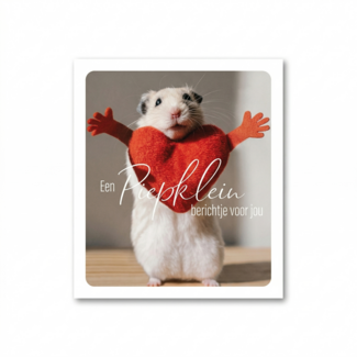 Paperclip Kaart - Photo factory - Een piepklein berichtje voor jou - nr.41