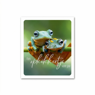 Paperclip Kaart - Photo factory - Een opkikkertje voor jou - nr.45