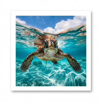 Paperclip Kaart - Paperclip - Call of the wild - Zee Schildpad - VB0.0012