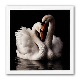 Paperclip Kaart - Paperclip - Call of the wild - Zwanen Koppel - VB0.0013