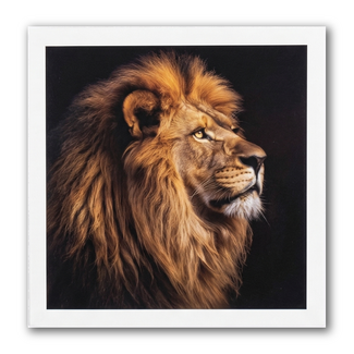 Paperclip Kaart - Paperclip - Call of the wild - Leeuw - VB0.0022