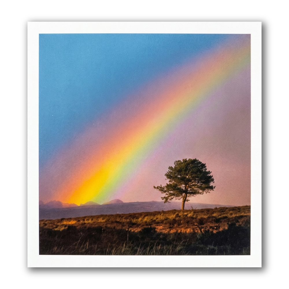 Kaart - Paperclip - Call of the wild - Regenboog - VB0.0027