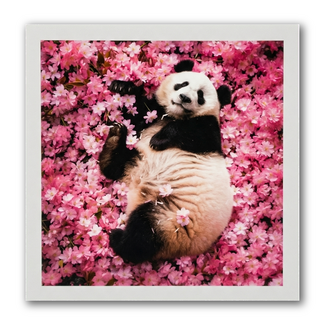 Paperclip Kaart - Paperclip - Call of the wild - Pandabeer - VB0.0030