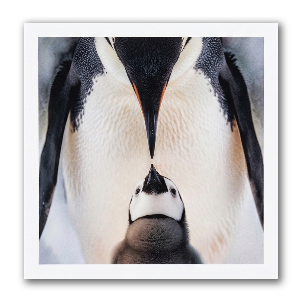Kaart - Paperclip - Call of the wild - Pinguin met jong - VB0.0026