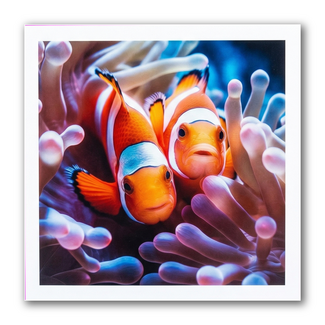 Paperclip Kaart - Paperclip - Call of the wild - Clownvissen - VB0.0039