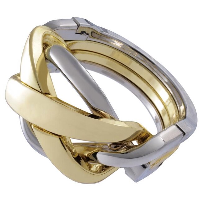 Eureka IQ-puzzel - Ring - Metaal - Niveau 4