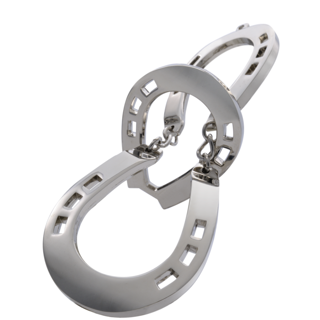 Eureka IQ-puzzel - Horse - Metaal - Niveau 2