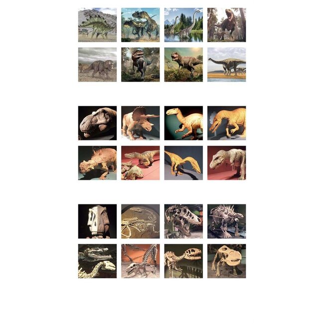 Ambo Zaklamp & projector - Dino's - Met 3x8 afbeeldingen