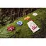 Haba Stuglandet - Dobbelspel - 8+