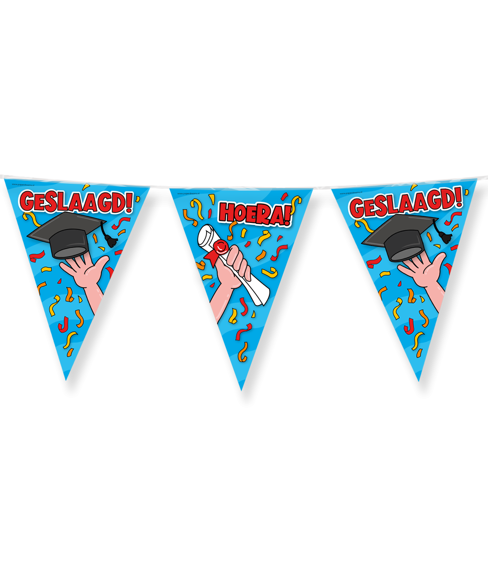 Vlaggenlijn - Geslaagd - 10m