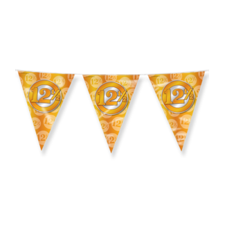 Paperdreams Vlaggenlijn - Jubileum - 12,5 - Dubbelzijdig - 10m