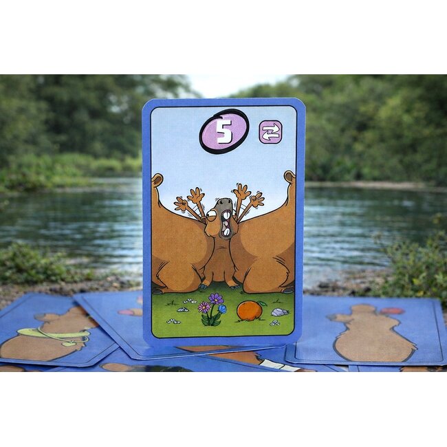 999 Games Swapybara - Kaartspel  - 8+