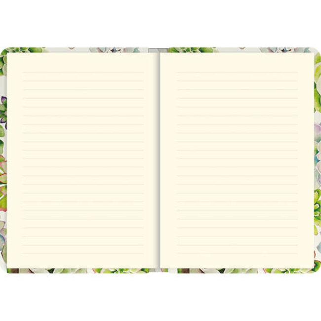 Comello Notitieboek - Compact journal - Peter Pauper - Succulent Garden - 13x18cm