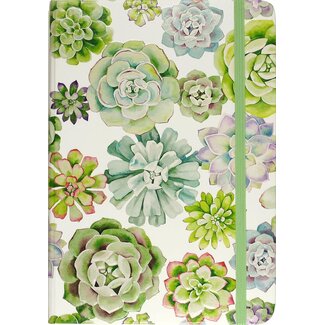 Comello Notitieboek - Compact journal - Peter Pauper - Succulent Garden - 13x18cm