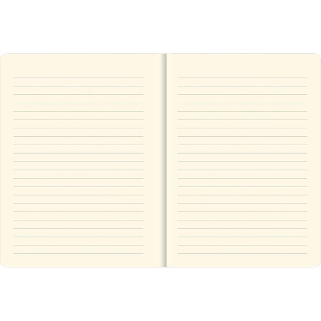 Comello Notitieboek - Compact journal - Peter Pauper - Succulent Garden - 13x18cm