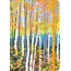 Comello Notitieboek - Compact journal - Aspen forest - 13x18cm