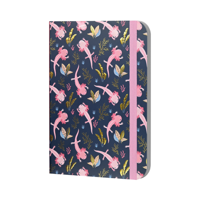 Peter Pauper Press Notitieboek - Mid size journal - Axolotls - 16x21cm