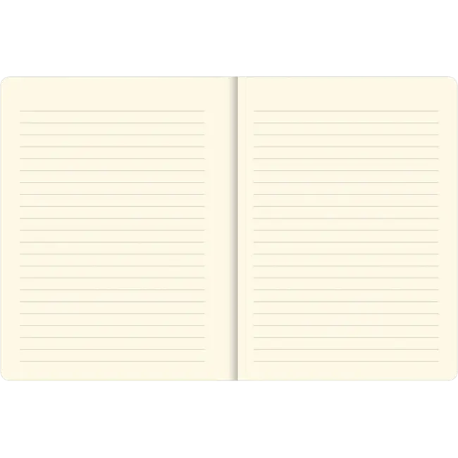 Peter Pauper Press Notitieboek - Mid size journal - Galaxy - 16x21cm