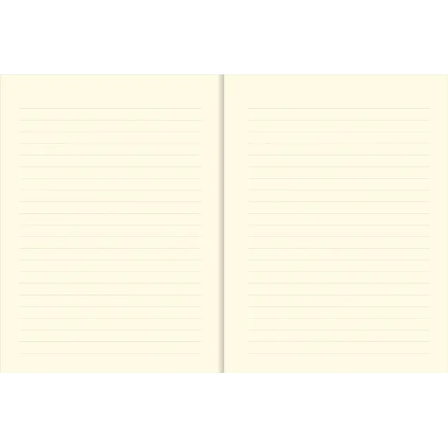 Peter Pauper Press Notitieboek - Mid size journal - Hummingbird - 16x21cm
