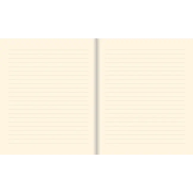 Peter Pauper Press Notitieboek - Oversize journal - Cosmology - 18x23cm