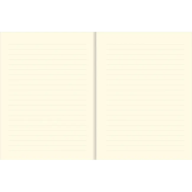 Peter Pauper Press Notitieboek - Bookbound journal - The Universe - 16x21cm