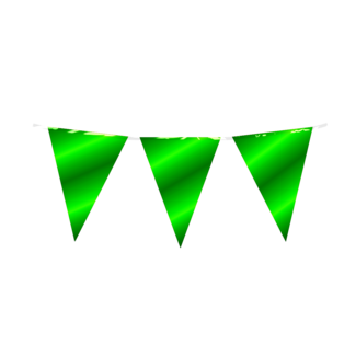 Paperdreams Vlaggenlijn - Groen - Metallic - 10m*