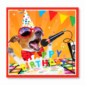 PaperClip Kaart - Happy birthday - Muziek - 005