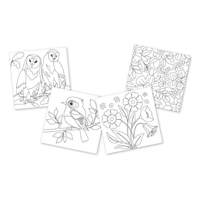 ImageGroup Kleurboek - Birds - Voor volwassenen