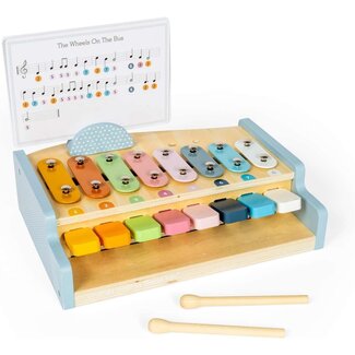 BigJigs Xylopiano - Xylofoon en piano in 1 - Met bladmuziek en stokjes