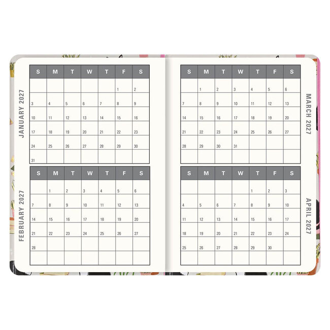 Comello Agenda - 2027 - Compact - 16 maanden - Knappe katten - 12,7x17,8cm