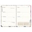 Comello Agenda - 2027 - Compact - 16 maanden - Knappe katten - 12,7x17,8cm