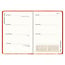 Comello Agenda - 2027 - Compact - 16 maanden - Oranje elfje - 12,7x17,8cm
