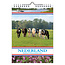 Comello Week kalender - 2027- 12 provinciën - Koeien - 16,5x23cm