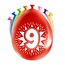 Paper Dreams Ballonnen - 9 jaar - 30cm - 8st.