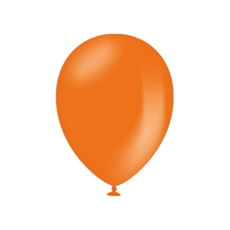 Paper Dreams Ballonnen - Oranje - 30cm - 10st.