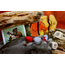 999 Games Paleo - Bordspel - 10+