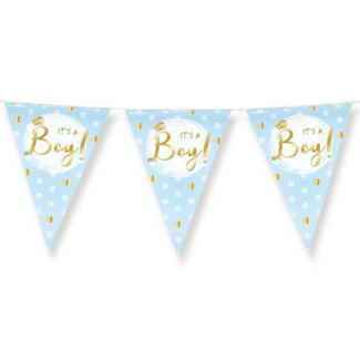 Paper Dreams Vlaggenlijn - It's a boy - Folie - 10m