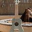 Little Dutch Gitaar - Safari friends - Groen