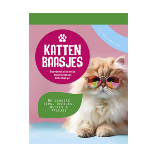Lantaarn Scheurkalender - 2027 - Kattenbaasjes - 13x18cm