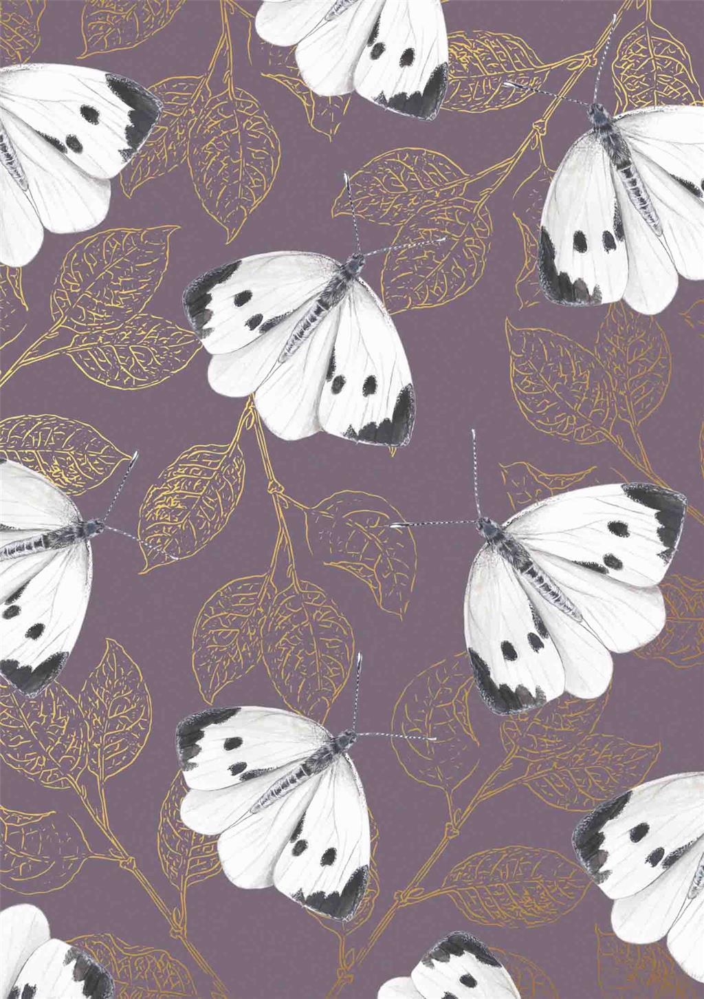Kaart - Vlinders, koolwitjes - Wildlife - 06-WF.GBE.0052