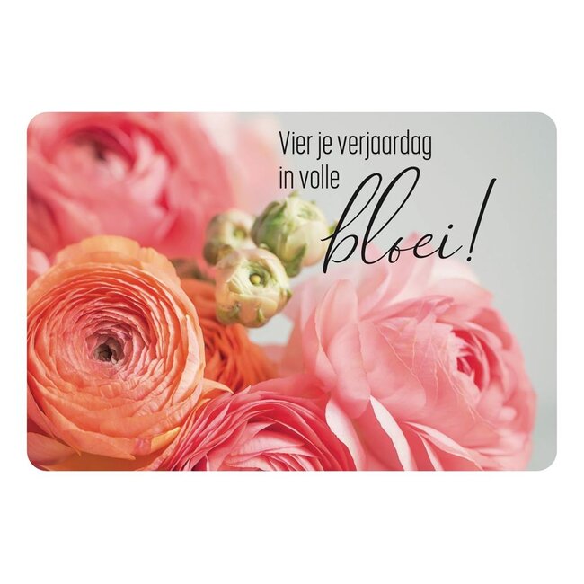 PaperClip Kaart - Vier je verjaardag in volle bloei! - Photo factory - MBE.6006