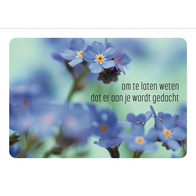 PaperClip Kaart - Om te laten weten - Photo factory - MBE.6052