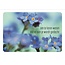PaperClip Kaart - Om te laten weten - Photo factory - MBE.6052