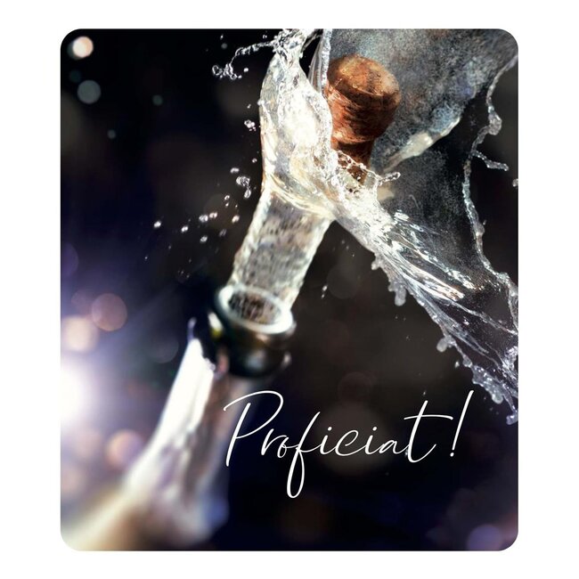 PaperClip Kaart - Proficiat! - Photo factory - VVE.6013